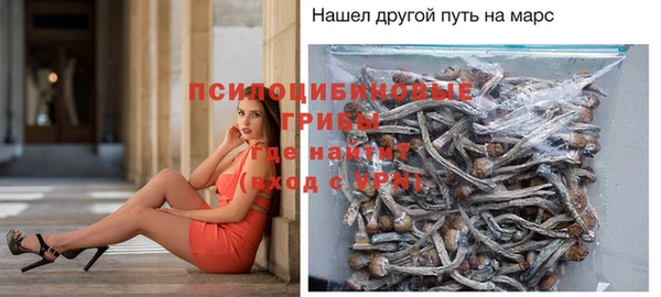 метамфетамин Дмитриев