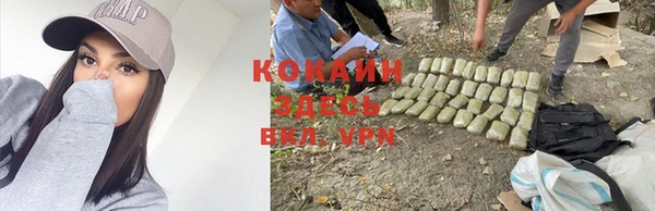 mdma Дмитров