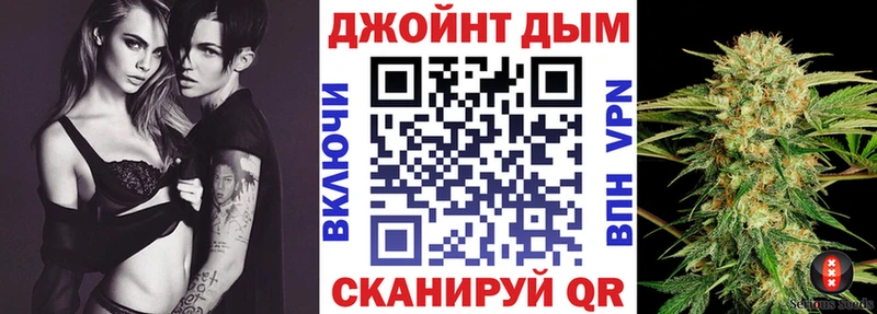 Канабис сатива  магазин продажи наркотиков  Жердевка 
